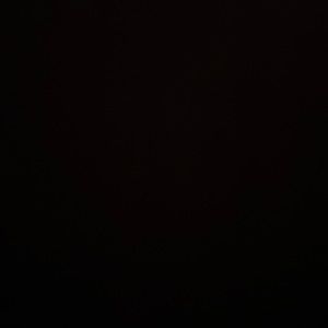 Meet your Posher, Selina